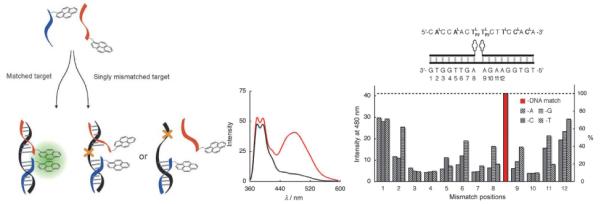 Fig. 14