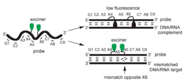 Fig. 15