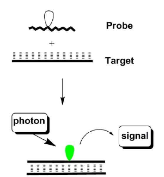 Fig. 10