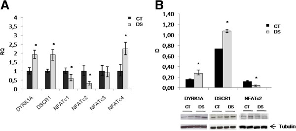 Figure 7