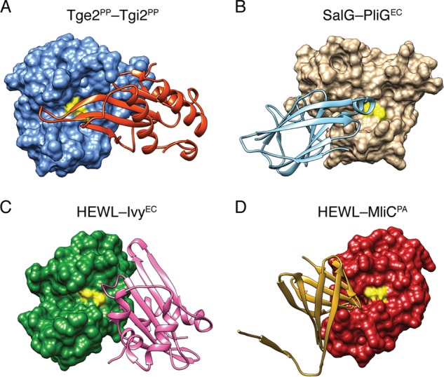 FIGURE 4.