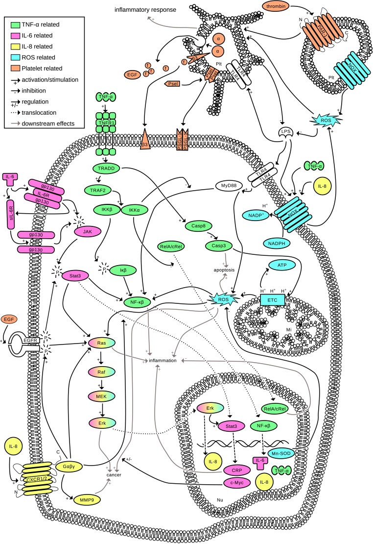 Fig 1