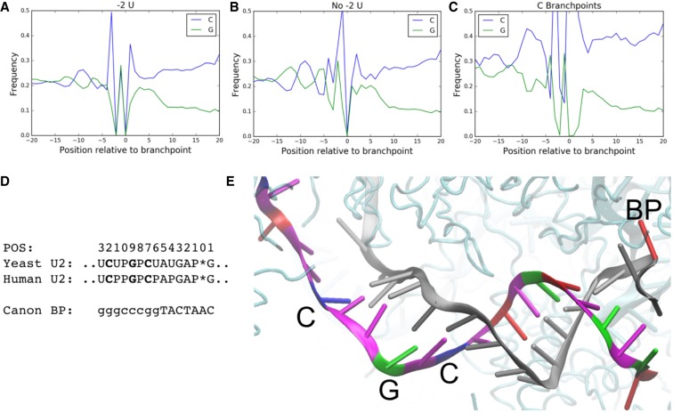 FIGURE 4.