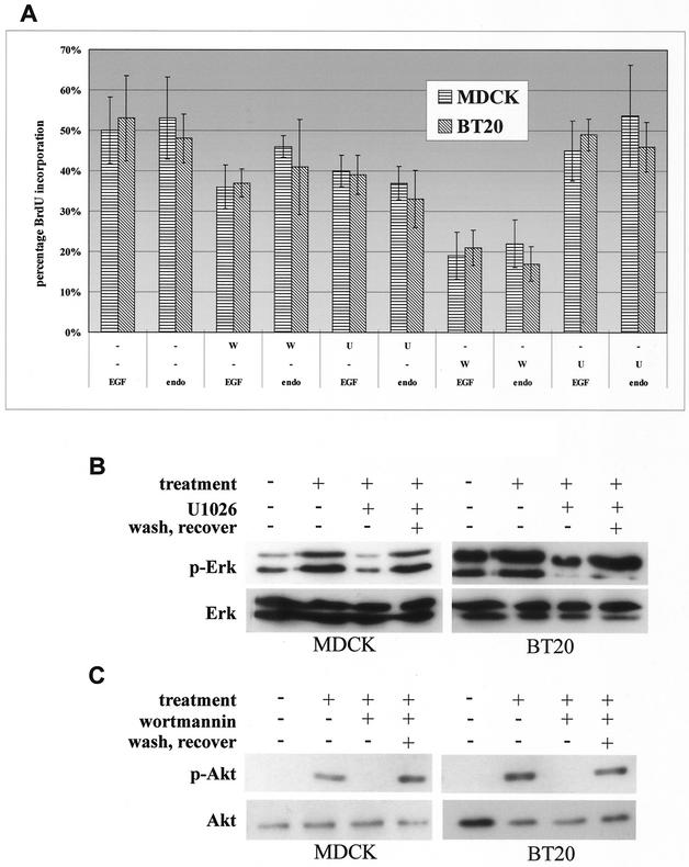 FIG. 8.