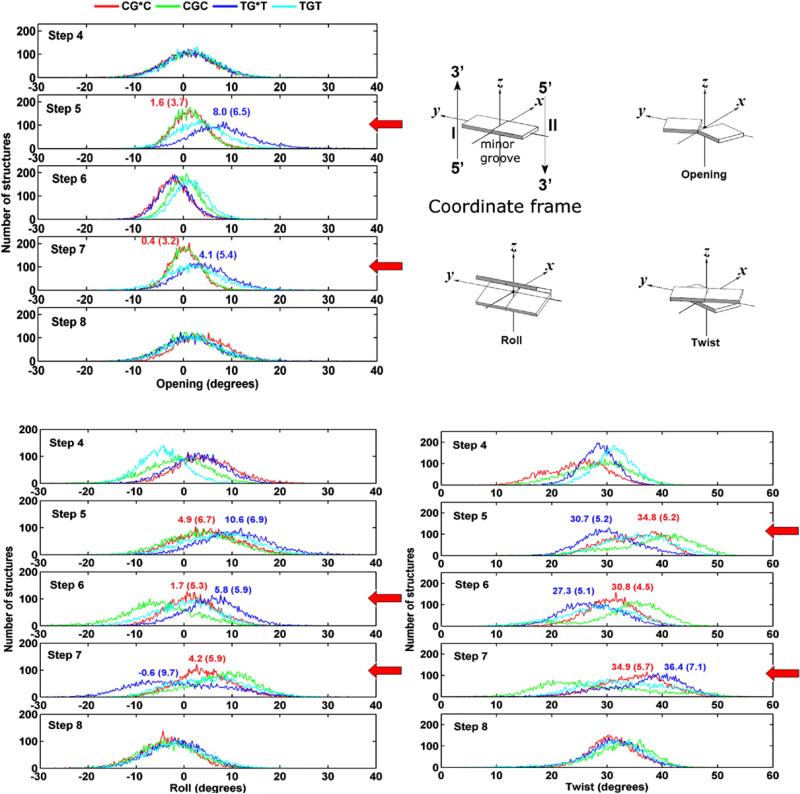 Fig. 7