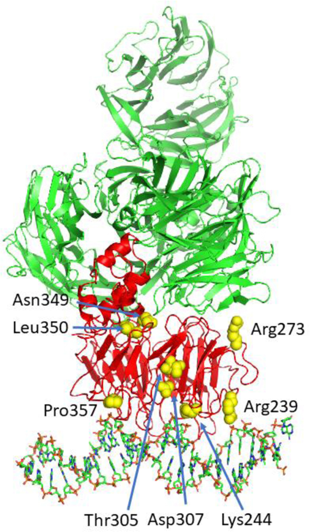 Fig. 3.