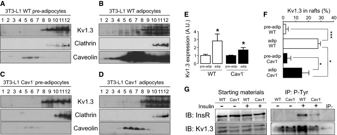 Fig. 7