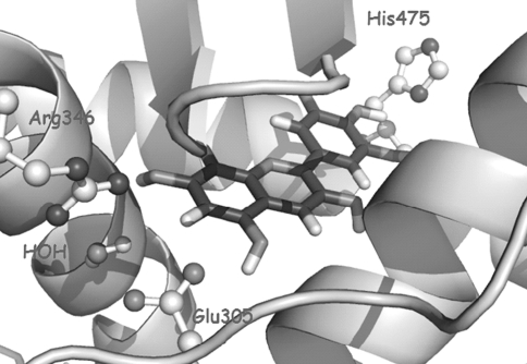 Fig. 2