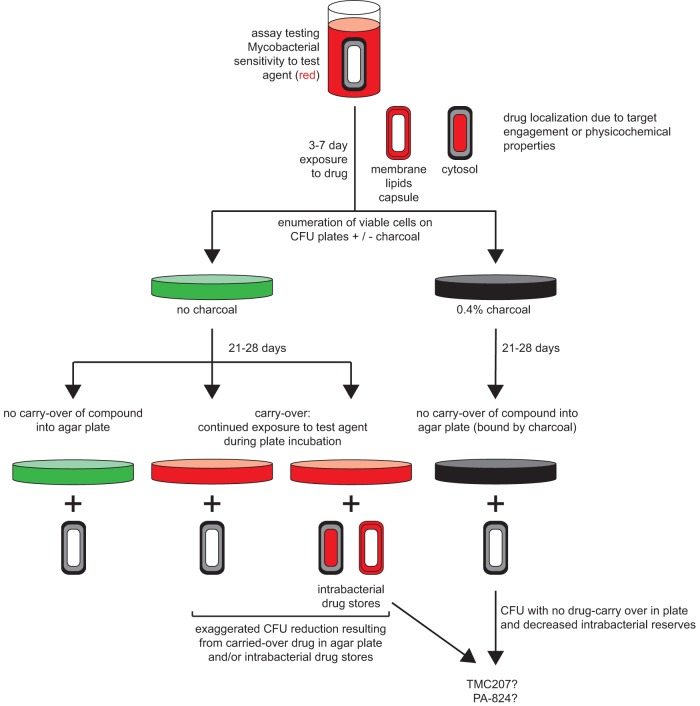 FIG 11