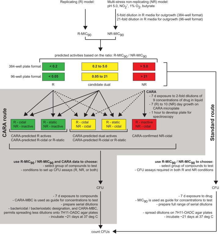 FIG 1