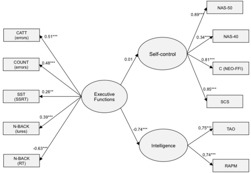 FIGURE 2