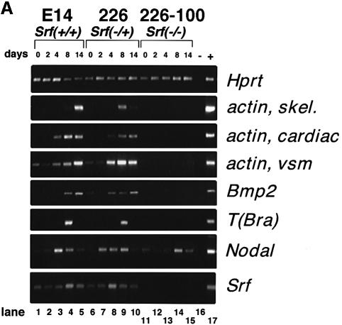 graphic file with name cdd563f2a.jpg