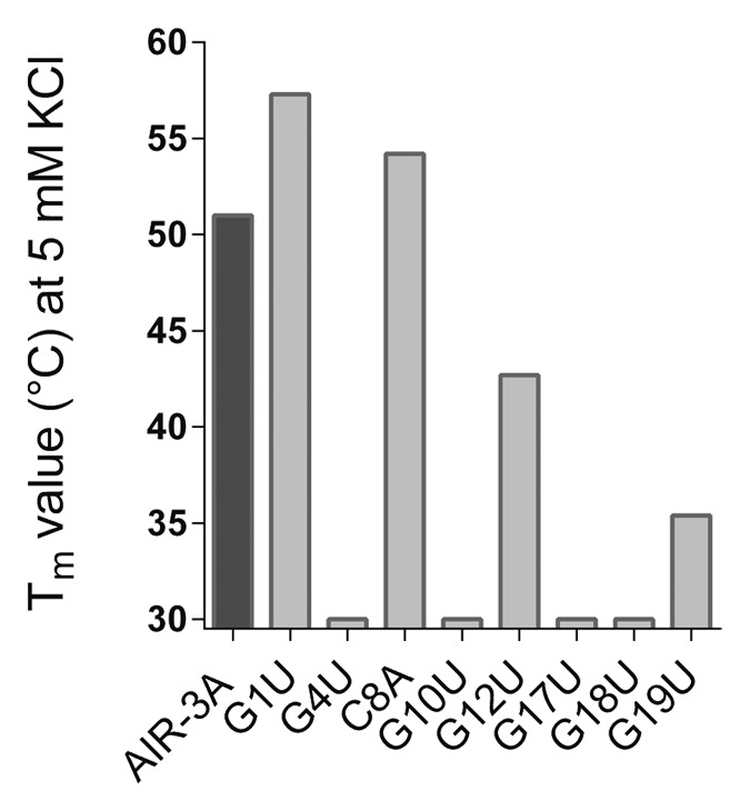 graphic file with name rna-11-57-g2.jpg