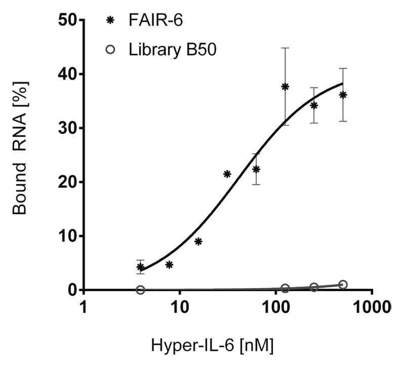 graphic file with name rna-11-57-g3.jpg