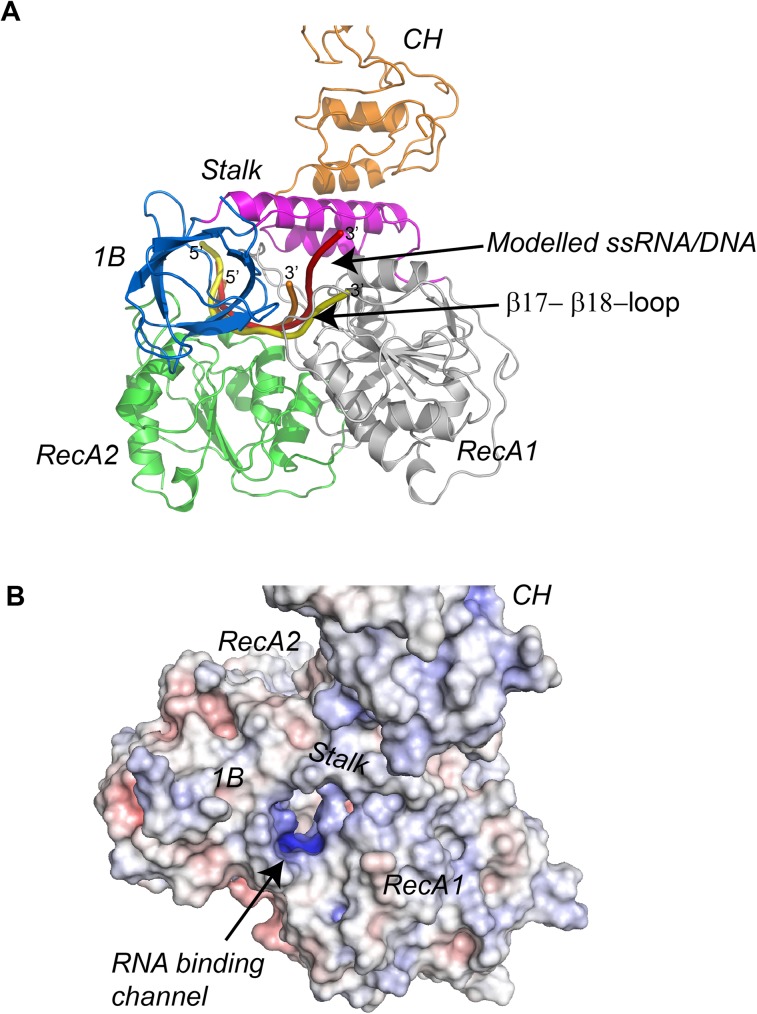 Fig 6