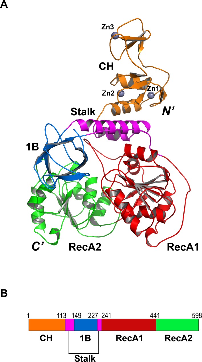 Fig 2