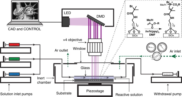 Fig. 1