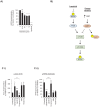 Figure 1—figure supplement 1.