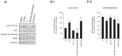 Figure 3—figure supplement 3.