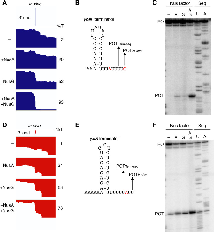 Figure 4—figure supplement 1.