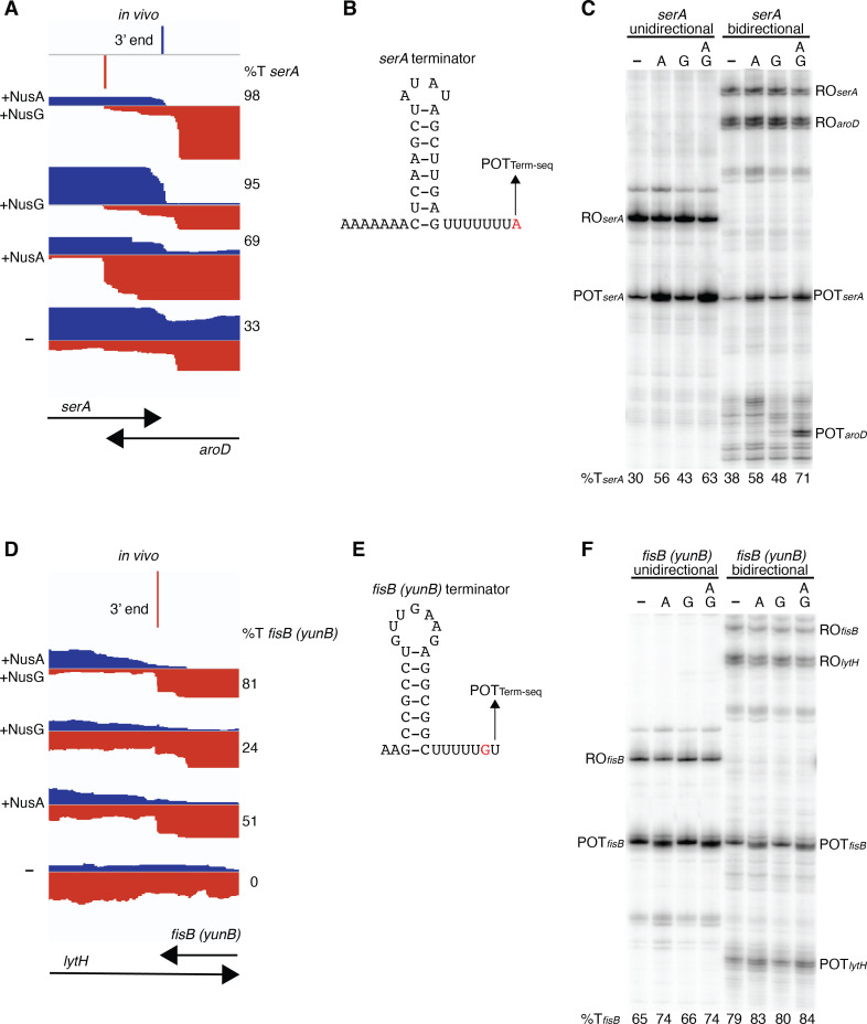 Figure 4—figure supplement 5.