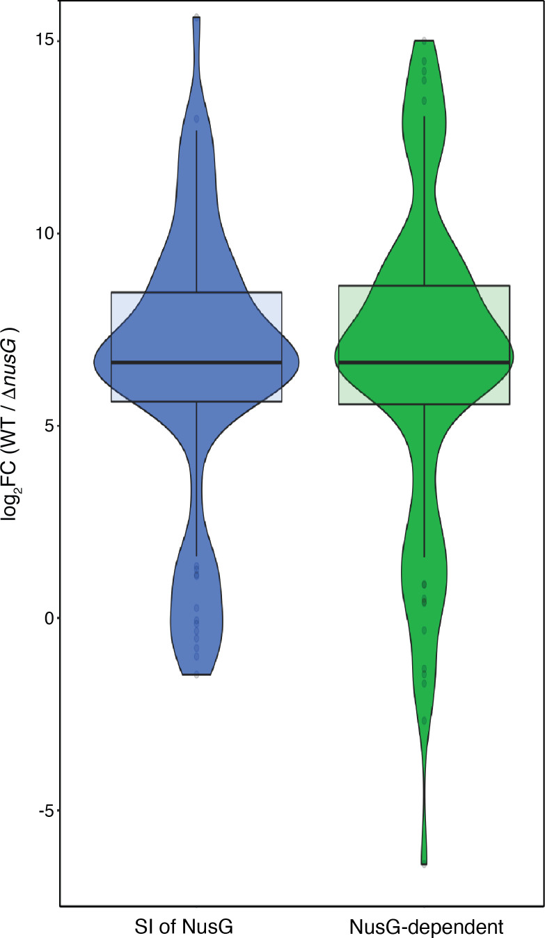 Figure 4—figure supplement 3.