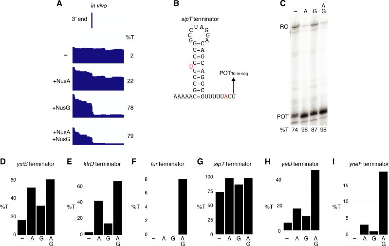 Figure 4—figure supplement 4.