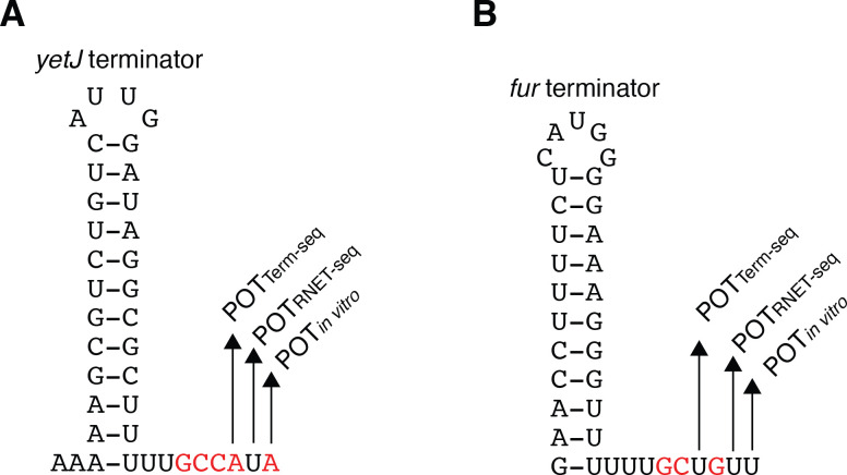 Figure 4—figure supplement 6.