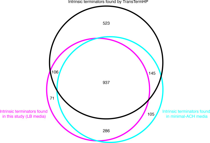 Figure 1—figure supplement 2.