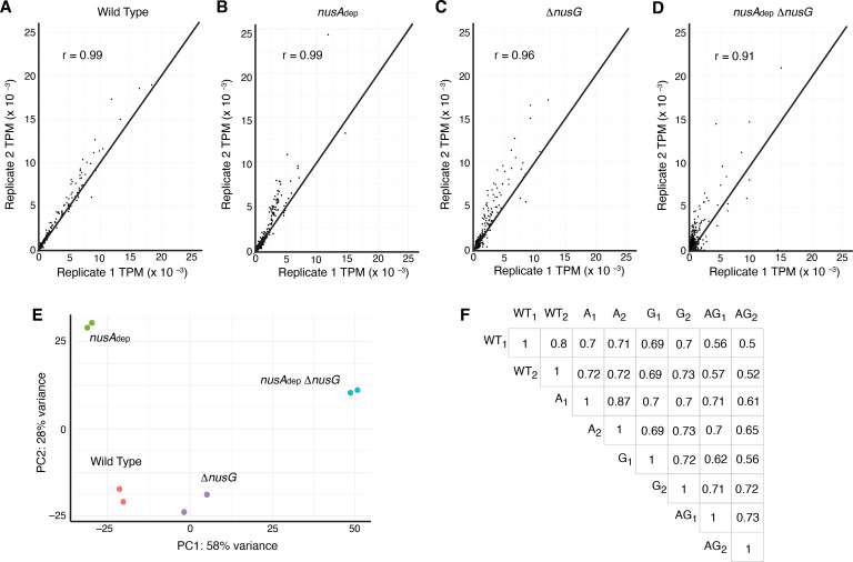 Figure 1—figure supplement 5.