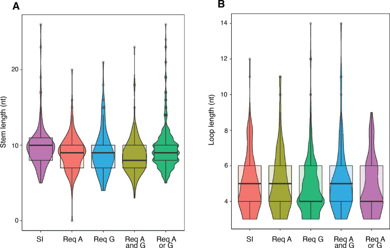 Figure 1—figure supplement 4.