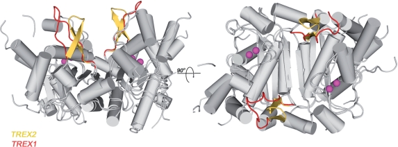 Figure 5.