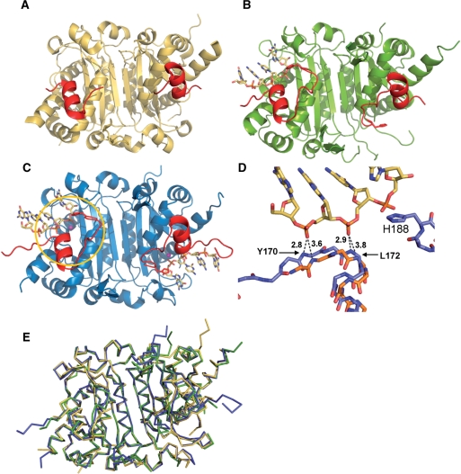 Figure 2.