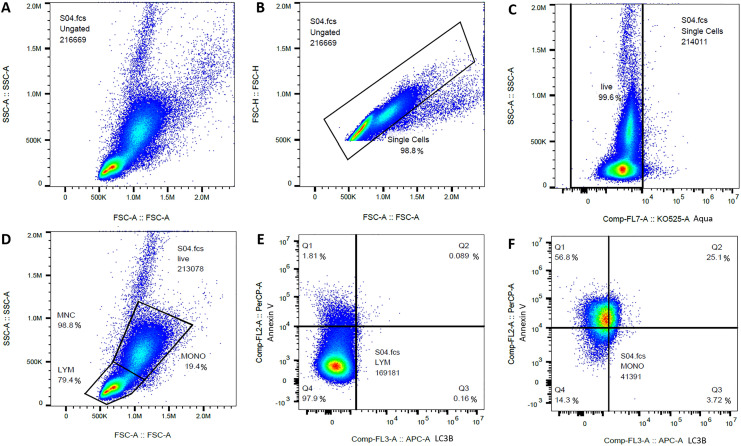Fig. 1