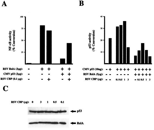 FIG. 7