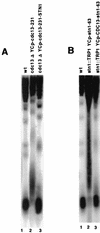 FIG. 7