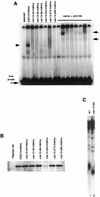 FIG. 5