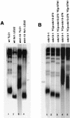 FIG. 6