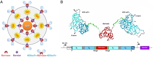 Fig. 2.