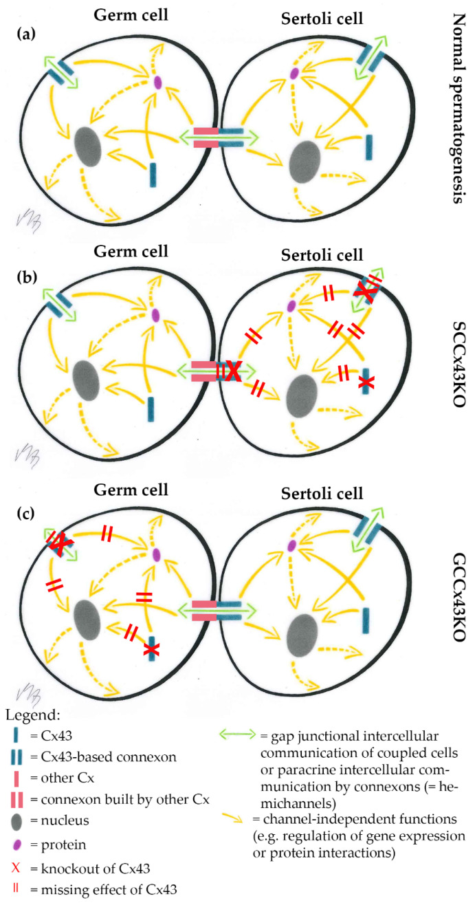 Figure 10