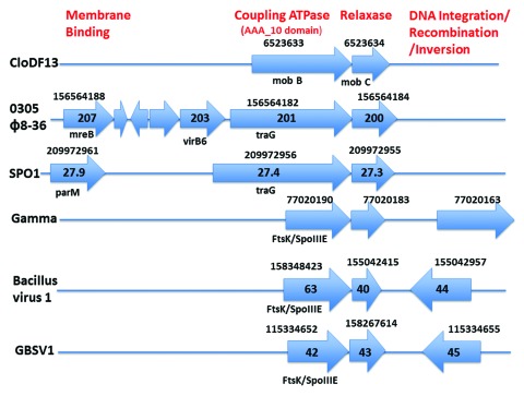 Figure 2. 