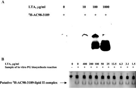 FIG. 8.