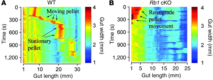 Figure 10