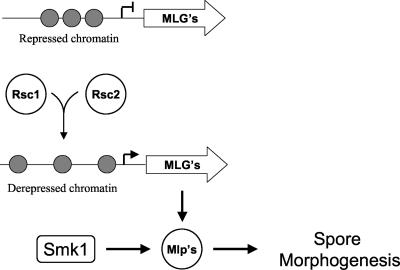 FIG. 6.