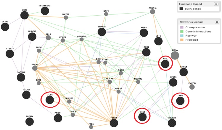 FIGURE 2