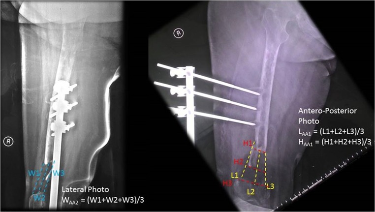 Fig. 1