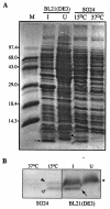 FIG. 8.