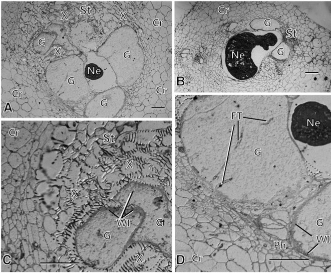 Fig. 2.