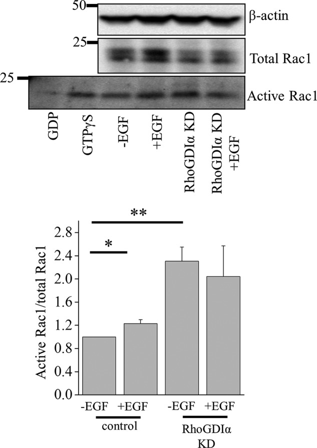 FIGURE 9.