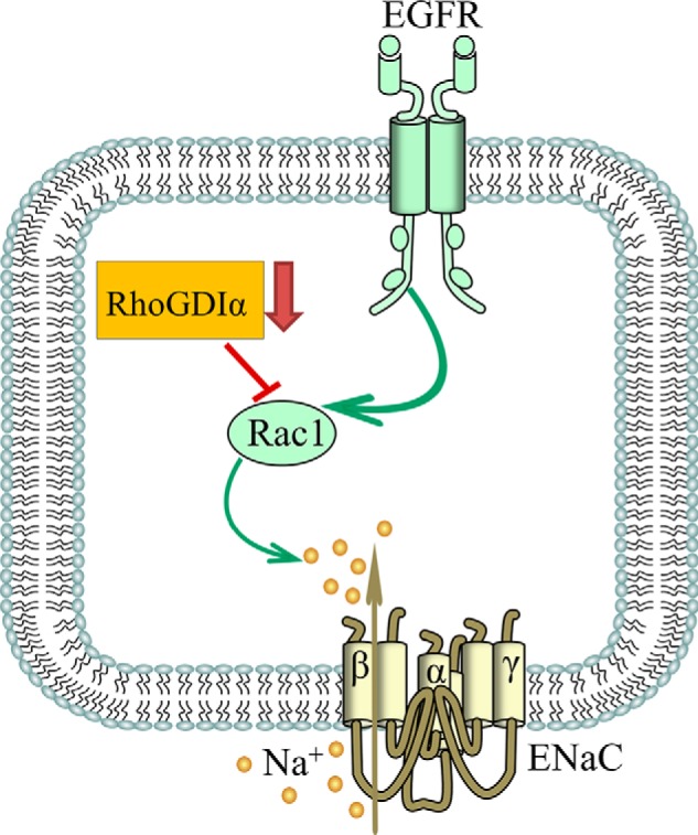 FIGURE 10.